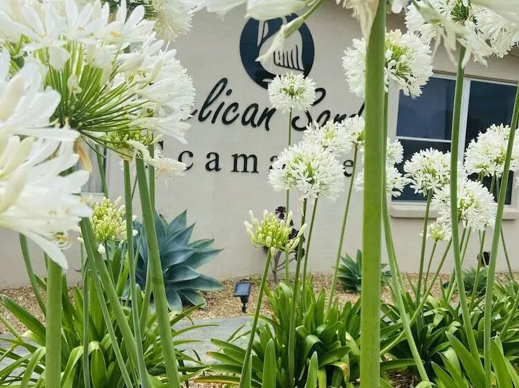 Отель Pelican Sands Scamander