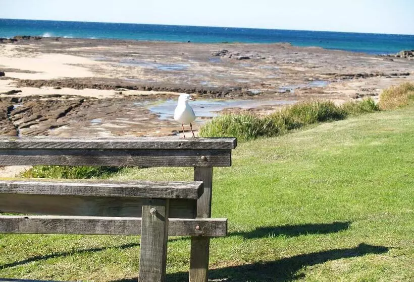 호텔 Pigeon House Motor Inn