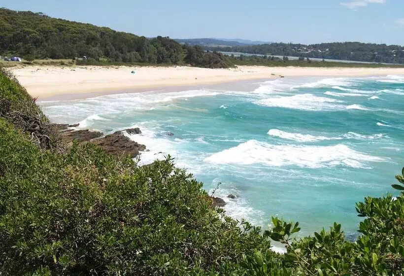 호텔 Pigeon House Motor Inn