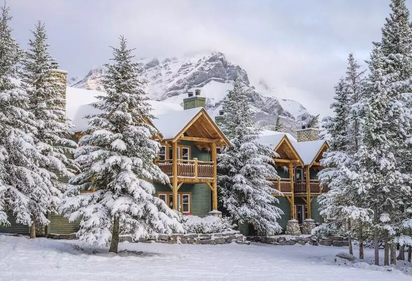 호텔 Buffalo Mountain Lodge