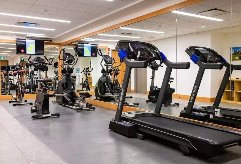 호텔 Buffalo Mountain Lodge