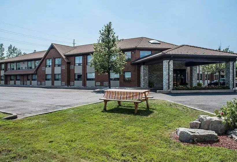 فندق Comfort Inn