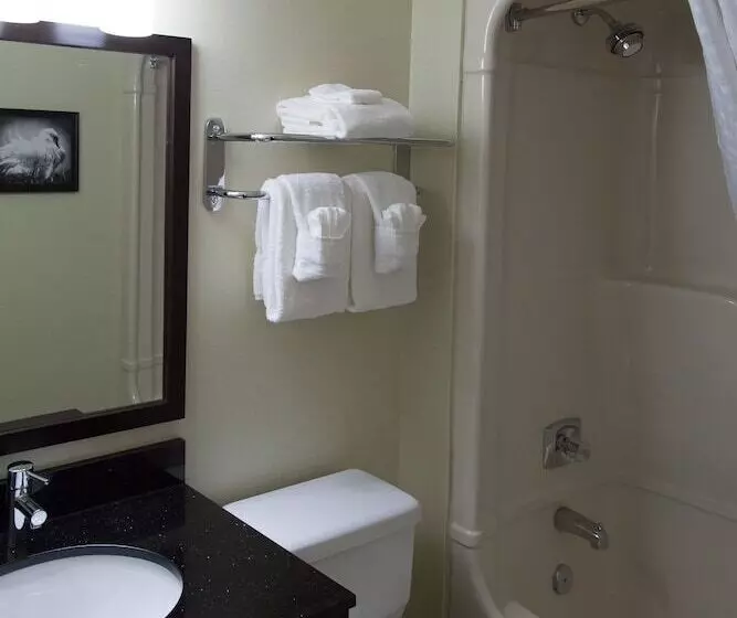 فندق Comfort Inn