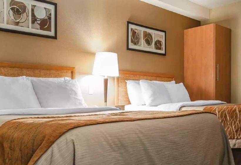 فندق Comfort Inn