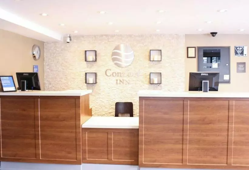 酒店 Comfort Inn Toronto North