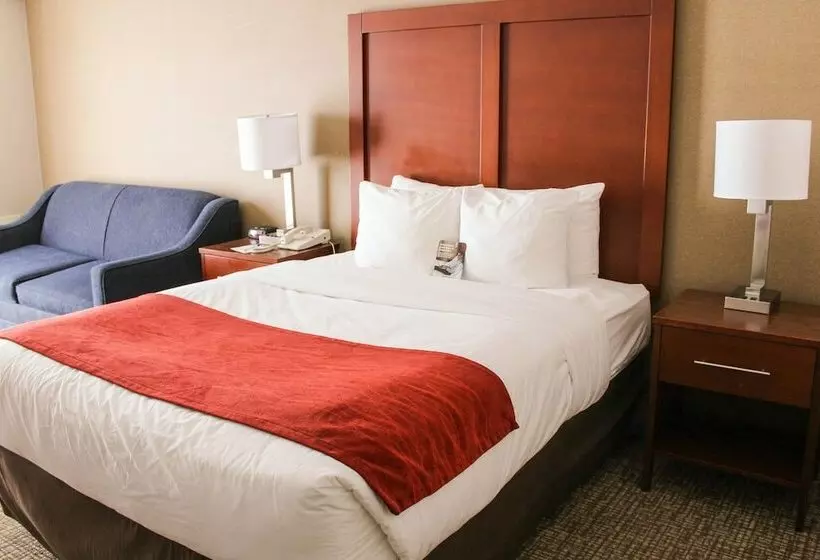 酒店 Comfort Inn Toronto North