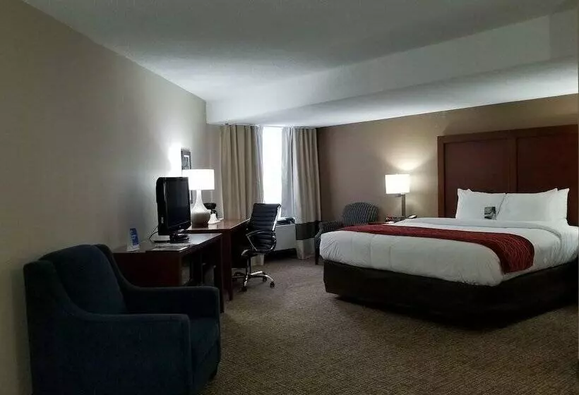 酒店 Comfort Inn Toronto North
