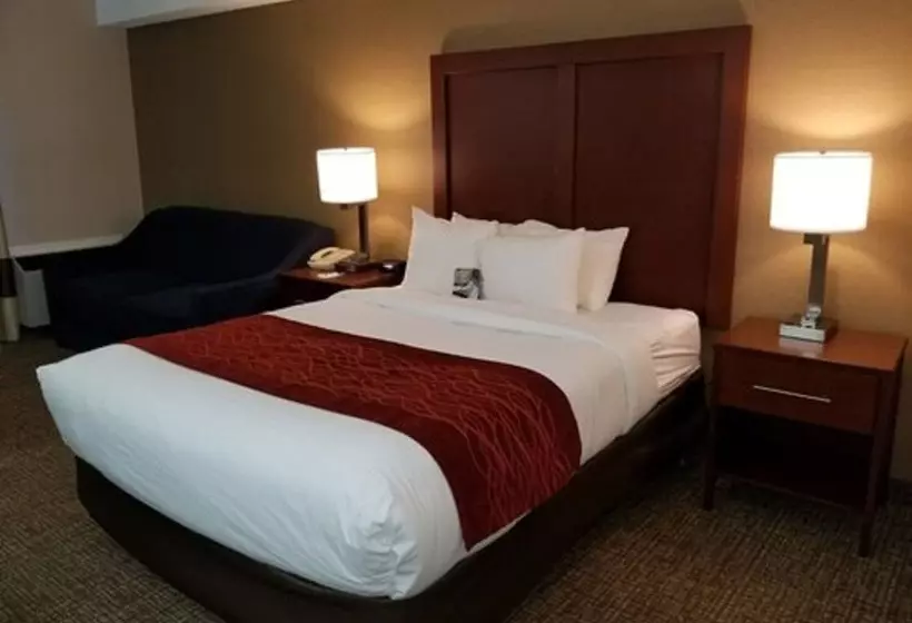 酒店 Comfort Inn Toronto North