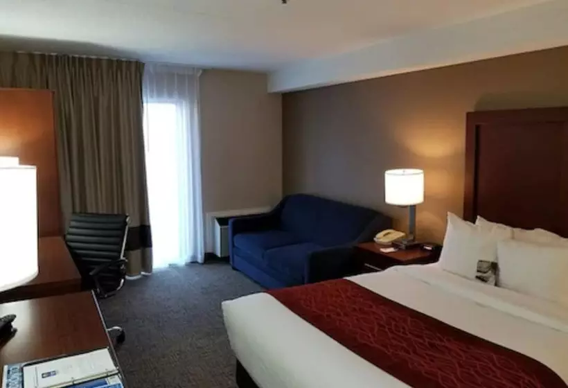 酒店 Comfort Inn Toronto North