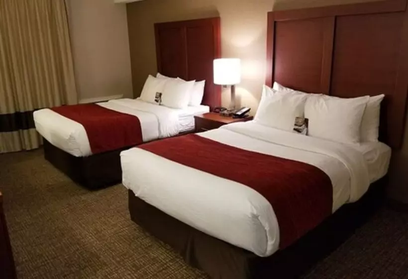 酒店 Comfort Inn Toronto North