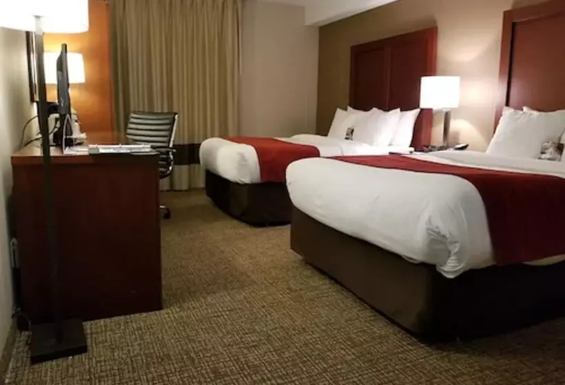 酒店 Comfort Inn Toronto North