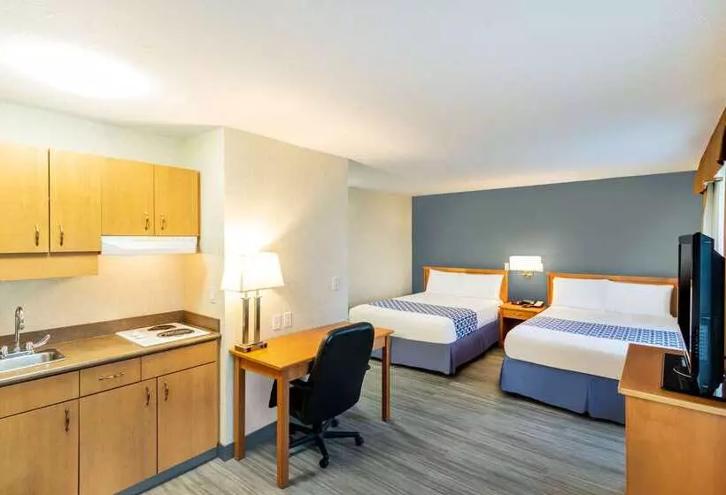 Hotel Econo Lodge Inn & Suites University
