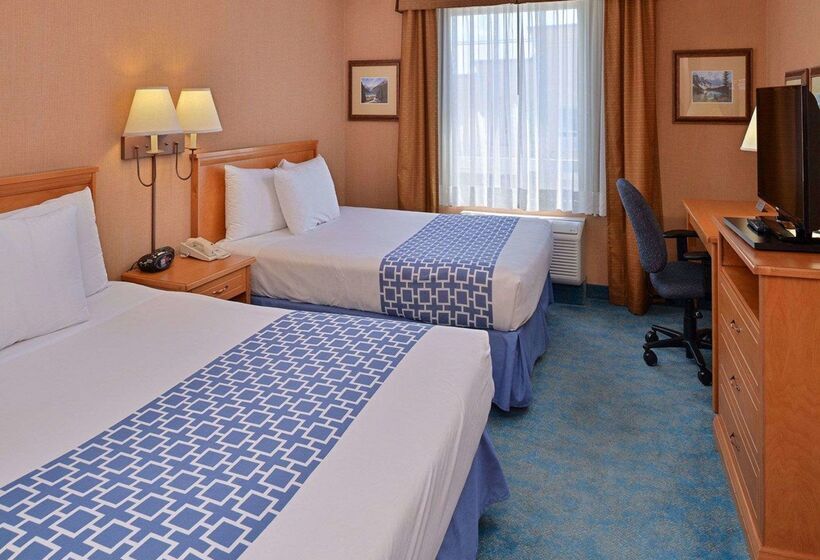 هتل Econo Lodge Inn & Suites University