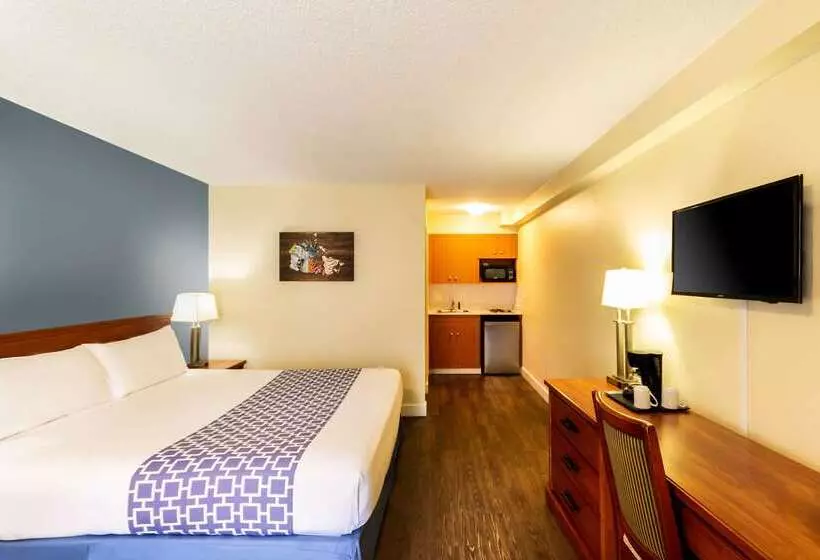Hotel Econo Lodge Inn & Suites University