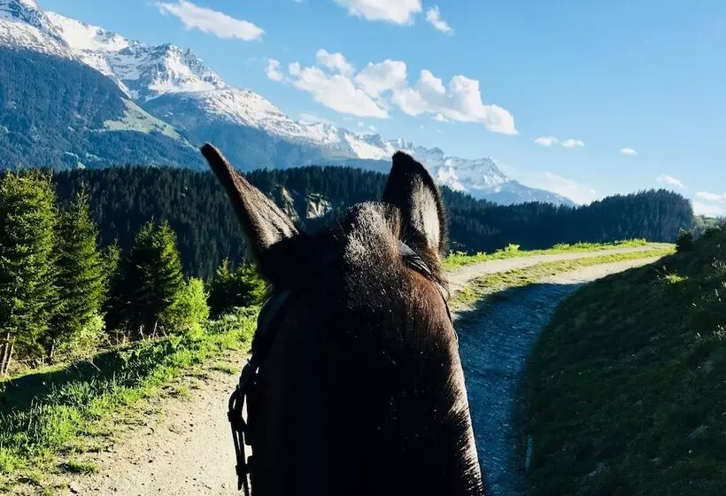 Adults Only Hotel Mulin Das Erwachsenen Hotel In Den Bergen