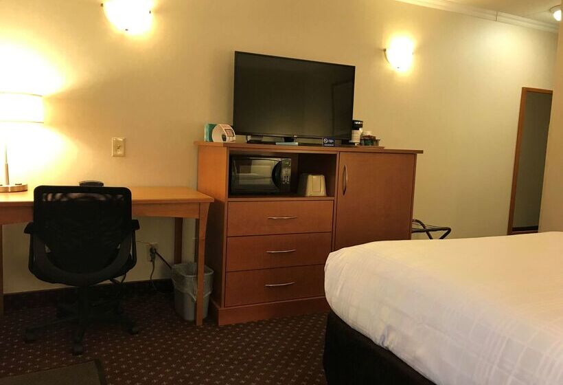 בית מלון כפרי Best Western Thunder Bay Crossroads