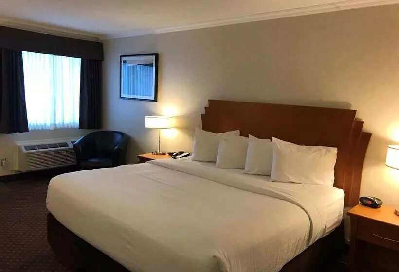 Hotel Best Western Thunder Bay Crossroads