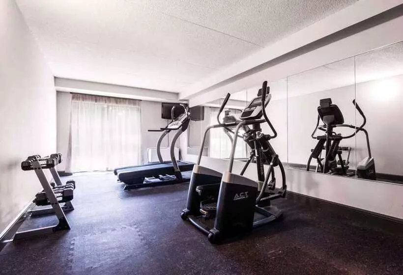 בית מלון כפרי Comfort Inn