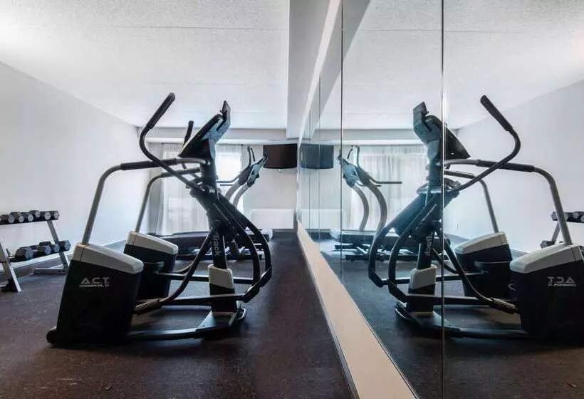 בית מלון כפרי Comfort Inn