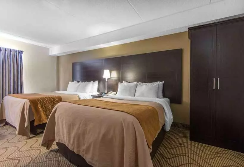 בית מלון כפרי Comfort Inn