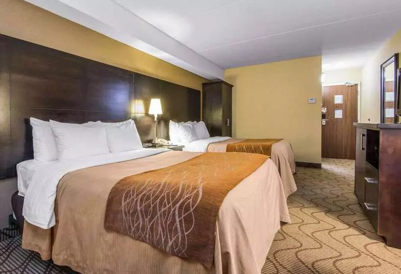 בית מלון כפרי Comfort Inn