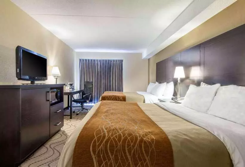 בית מלון כפרי Comfort Inn