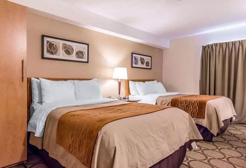 فندق Comfort Inn Riviereduloup