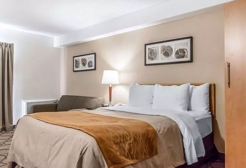 فندق Comfort Inn Riviereduloup