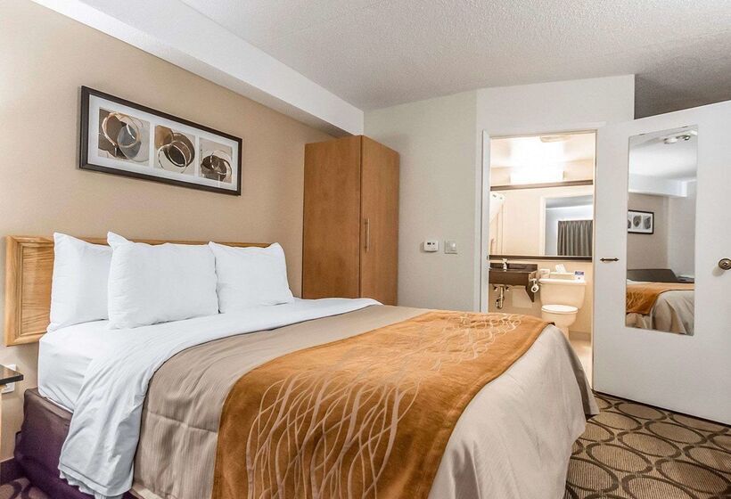 ホテル Comfort Inn Riviereduloup