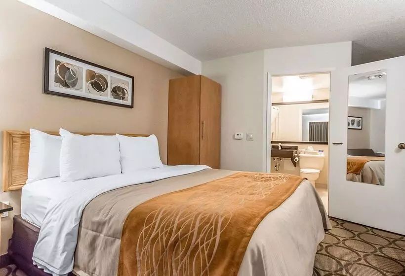 فندق Comfort Inn Riviereduloup