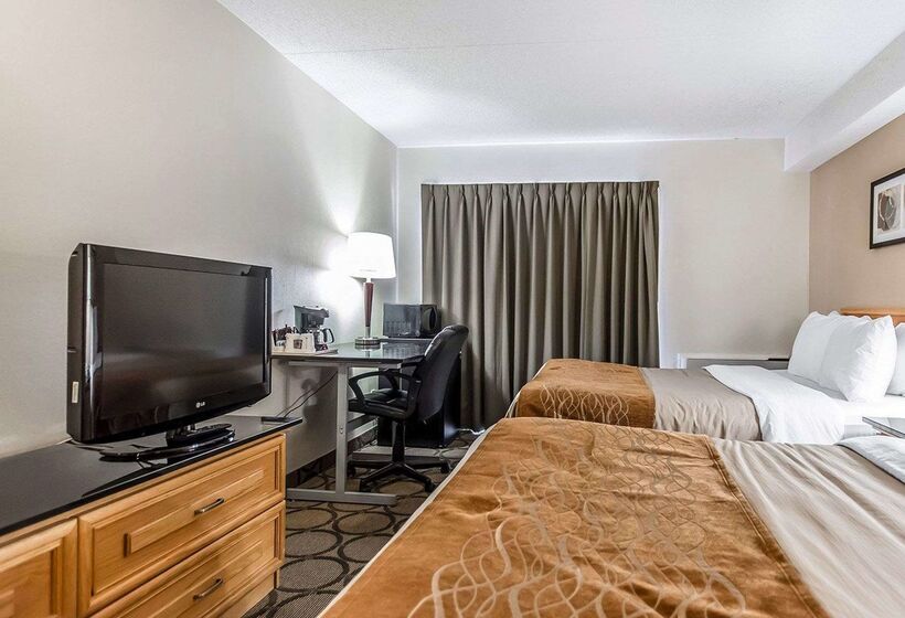 ホテル Comfort Inn Riviereduloup