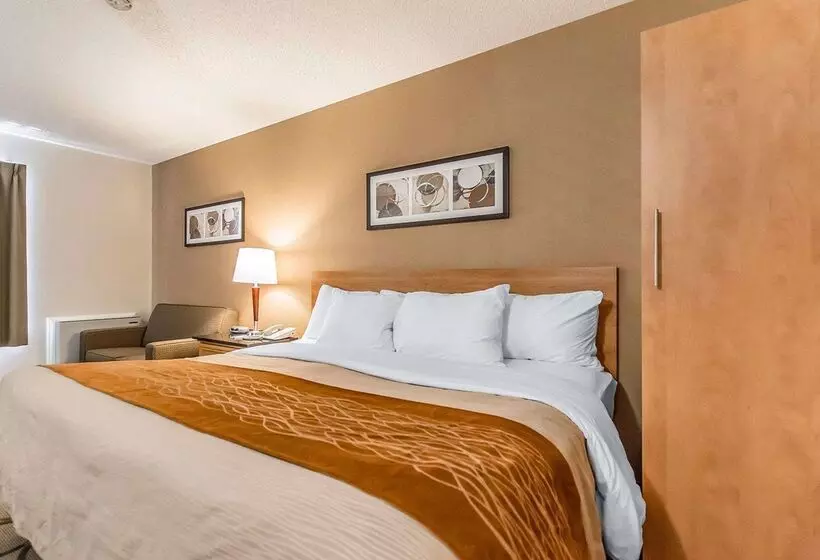 فندق Comfort Inn Riviereduloup