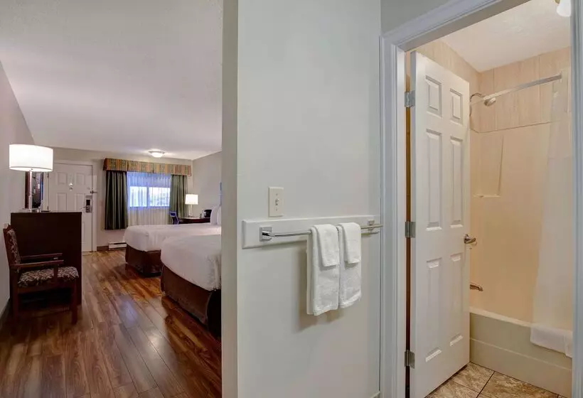 Hotel Days Inn By Wyndham Vernon