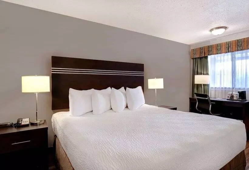 Hotel Days Inn By Wyndham Vernon