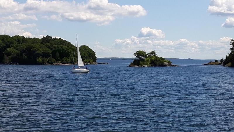 هتل Doubletree By Hilton Kingston