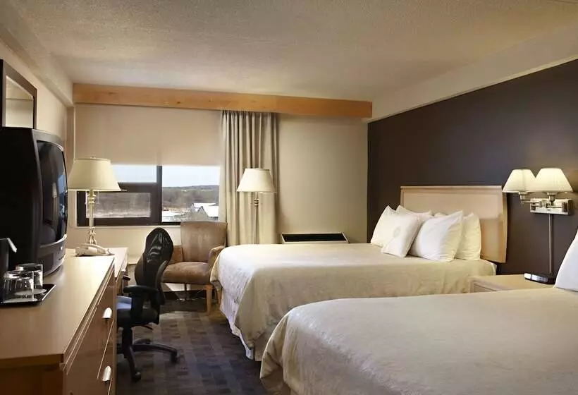 酒店 Doubletree By Hilton Kingston