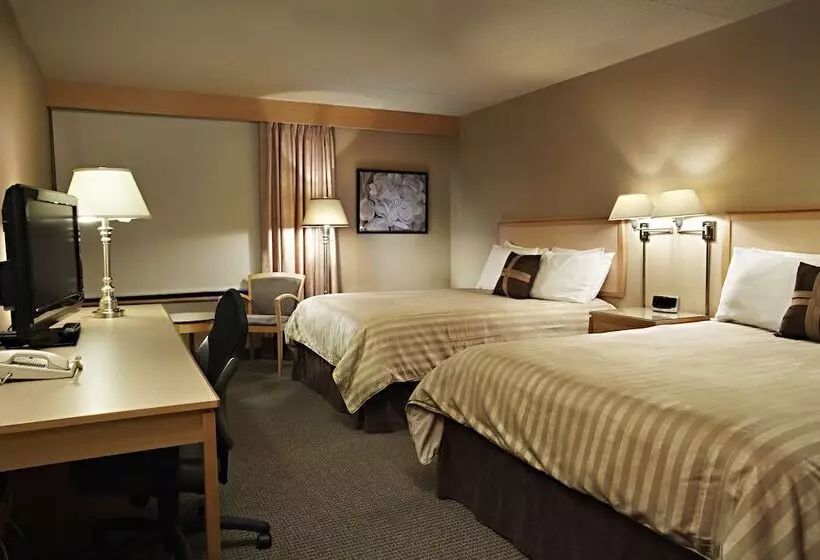 酒店 Doubletree By Hilton Kingston