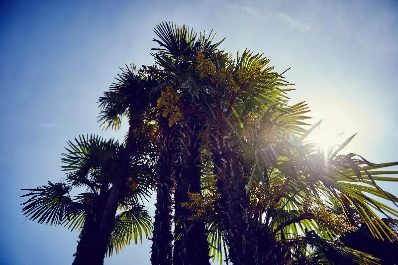 Eden Roc   The Leading Hotels Of The World