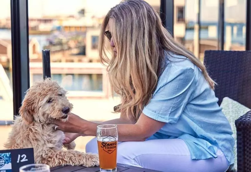 Otel Halifax Marriott Harbourfront