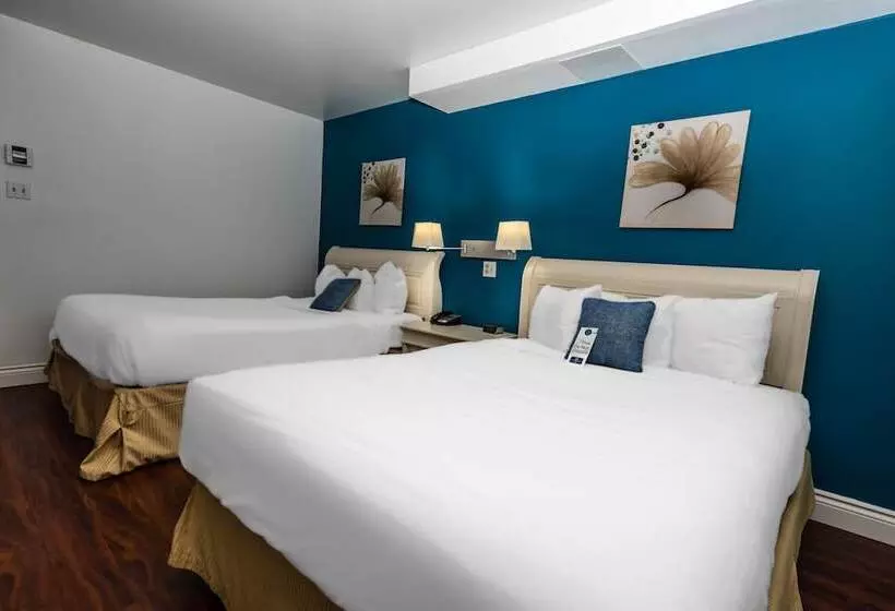 فندق Hearthstone Inn Sydney