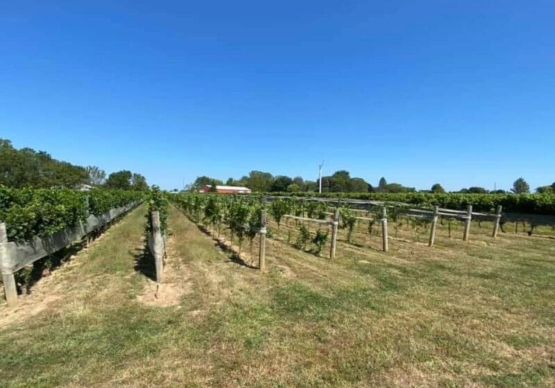 Hotel Holiday Inn Express Windsor Waterfront, An Ihg