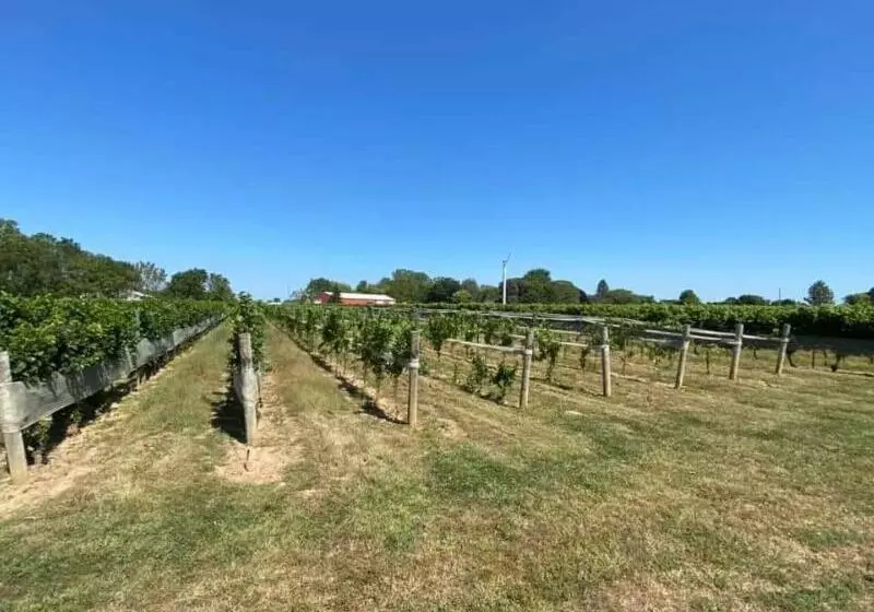 Hotel Holiday Inn Express Windsor Waterfront, An Ihg