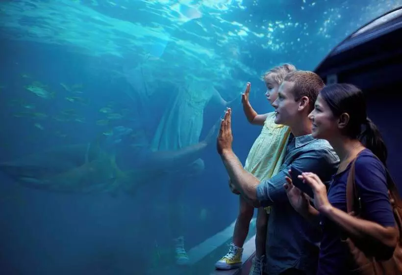 Hotel Intercontinental Toronto Centre, An Ihg