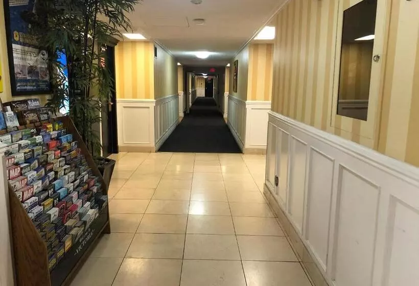 酒店 Island Travel Inn