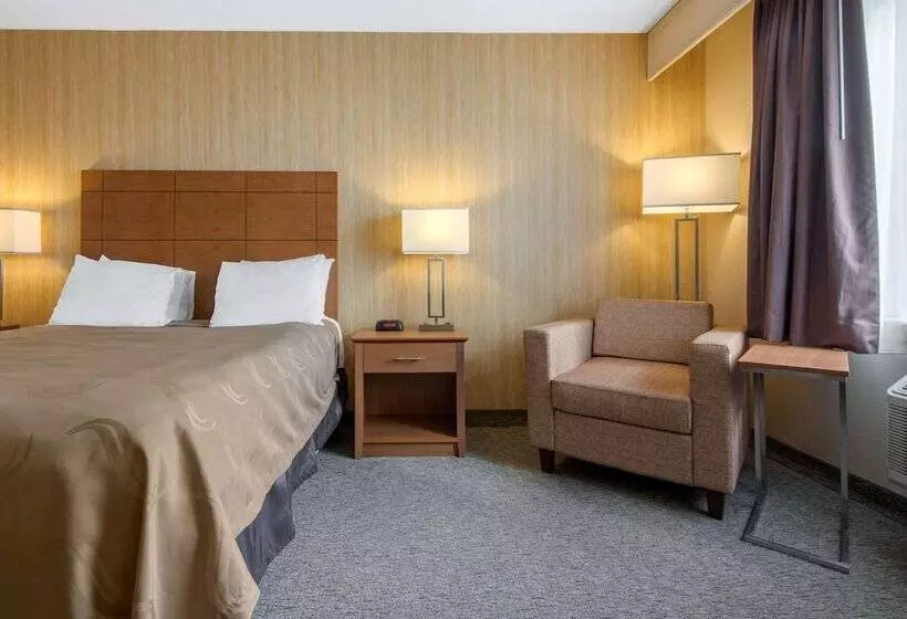 Отель Quality Inn & Conference Centre Downtown
