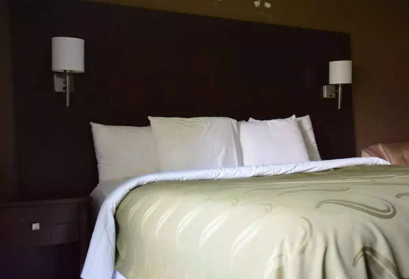 فندق Quality Inn & Conference Centre Festival