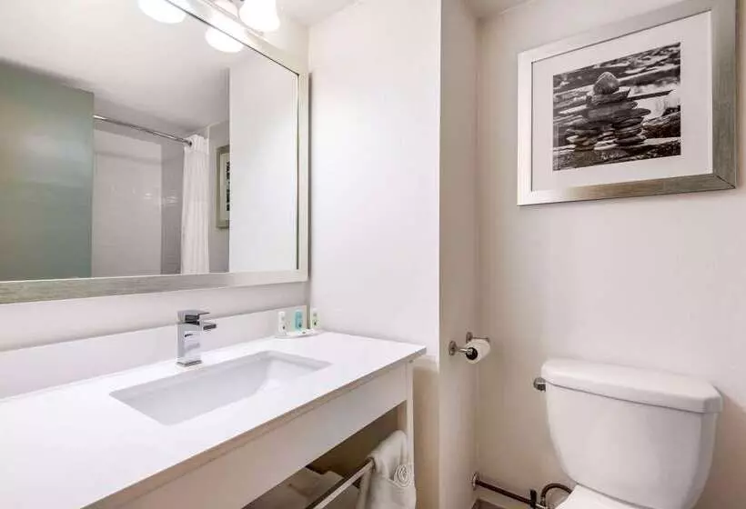 酒店 Quality Inn & Conference Centre