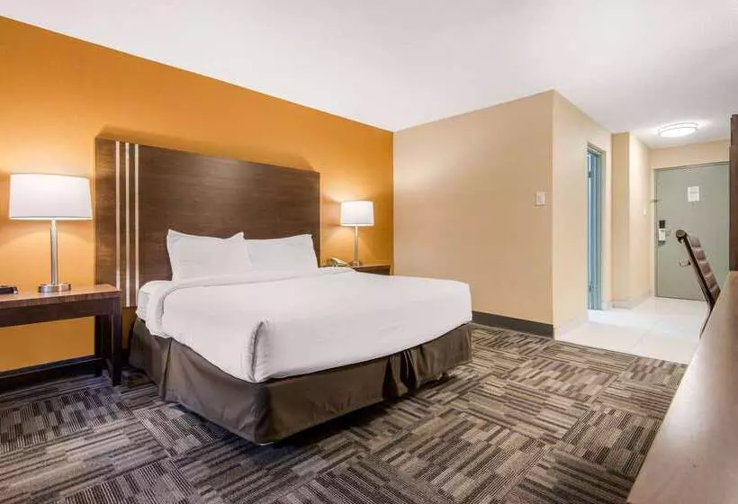 酒店 Quality Inn & Conference Centre