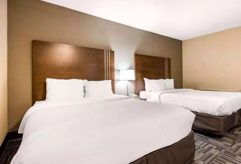 酒店 Quality Inn & Conference Centre