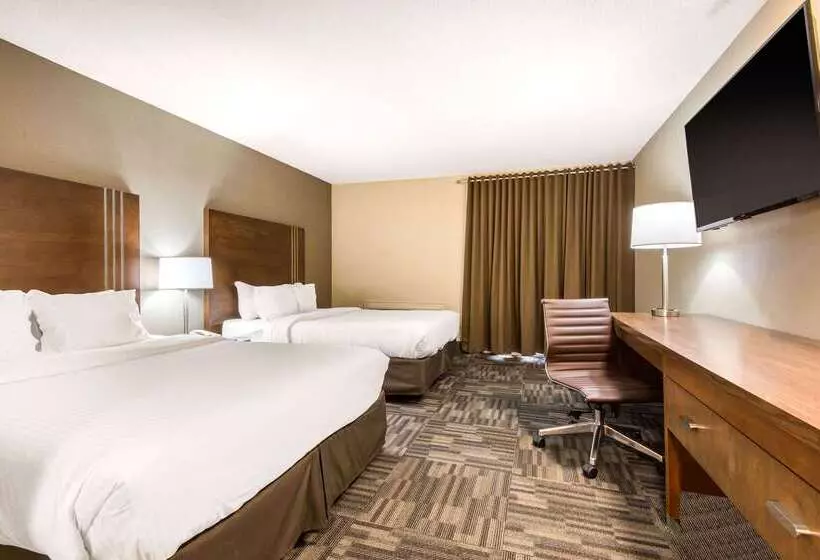 酒店 Quality Inn & Conference Centre